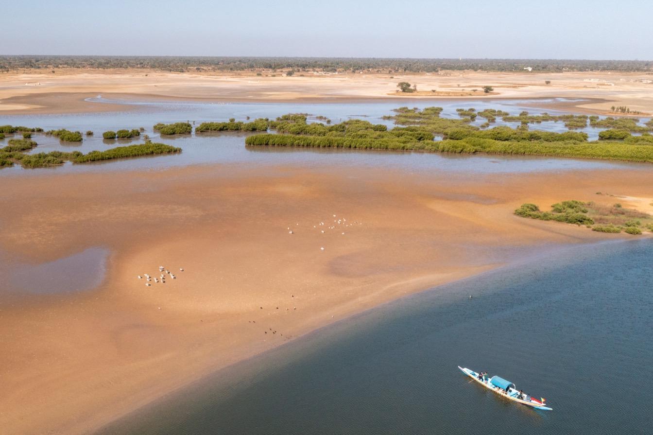 ecosysteme unique mangrove richesses naturelles